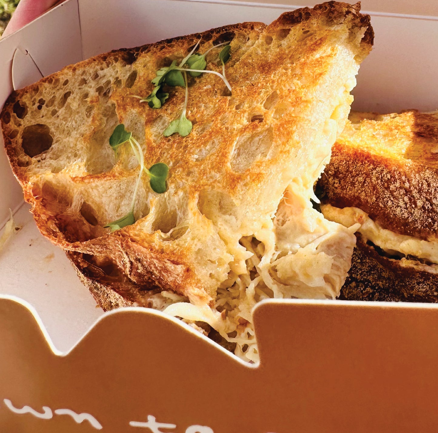 Toasted - Chicken Mayonaise